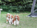 IMG 20170727 171228