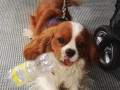 IMG 20160721 093907