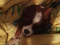 IMG 20161008 215956