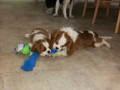 IMG 20180216 202036