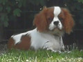 IMG 20200714 193816