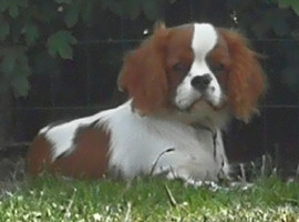 IMG 20200714 193816