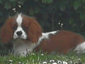 IMG 20200714 193840