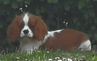 IMG 20200714 193840