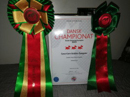 IMG 20201218 094402